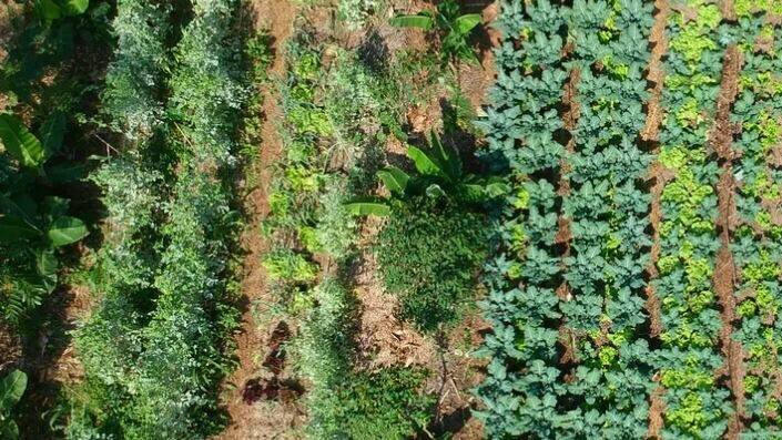 agroecologico (2)